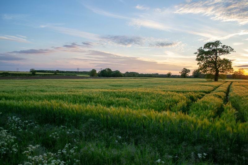 Relief Chefs Needed | Bicester image