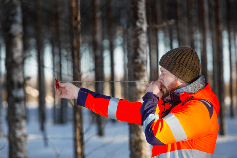 Mhy Lappi: Metsäasiantuntija image