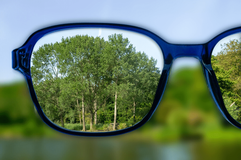 Head of Sustainability image