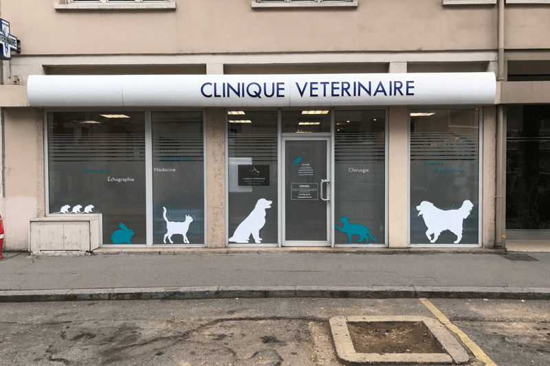 LYON - GRATTE-CIEL – VETERINAIRE CANIN EN CDD (H/F) image