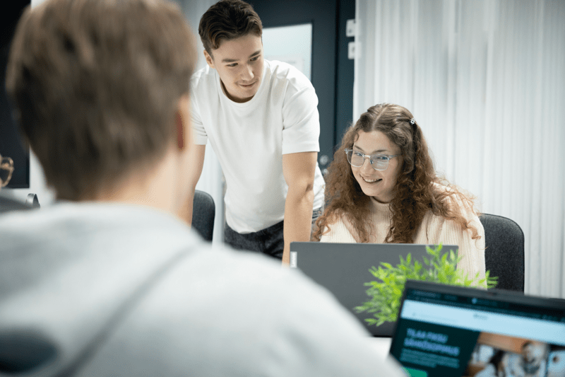 Tiimipäällikkö - myynnin vetäjä | Soldem image