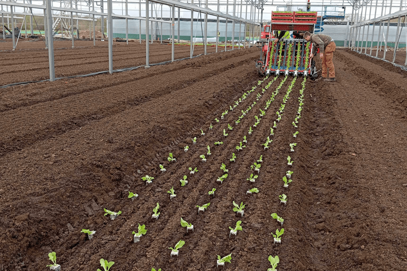 Ouvrier Maraîcher Saisonnier (H/F) image