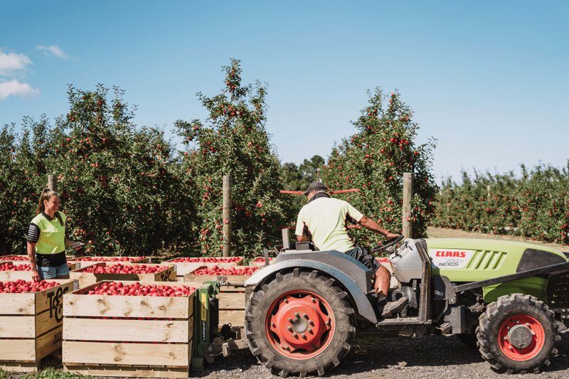 Tractor Drivers image