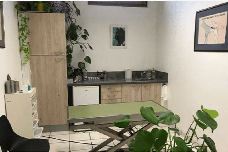 SAINT FRANCOIS - GAILLARD - ASV EN CDD (H/F) image
