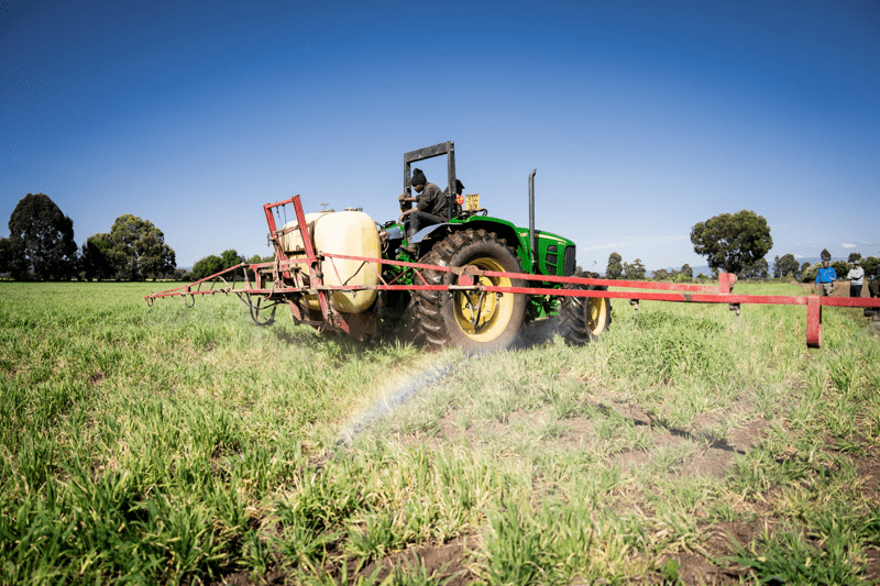 Investment Director – Food Systems & Strategic Investments image