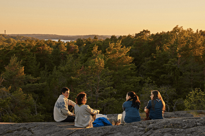 Utvecklingskonsulent till Scouterna image