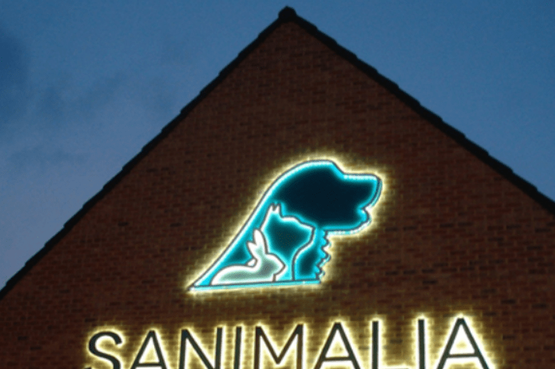 Startende Dierenarts - Sanimalia image