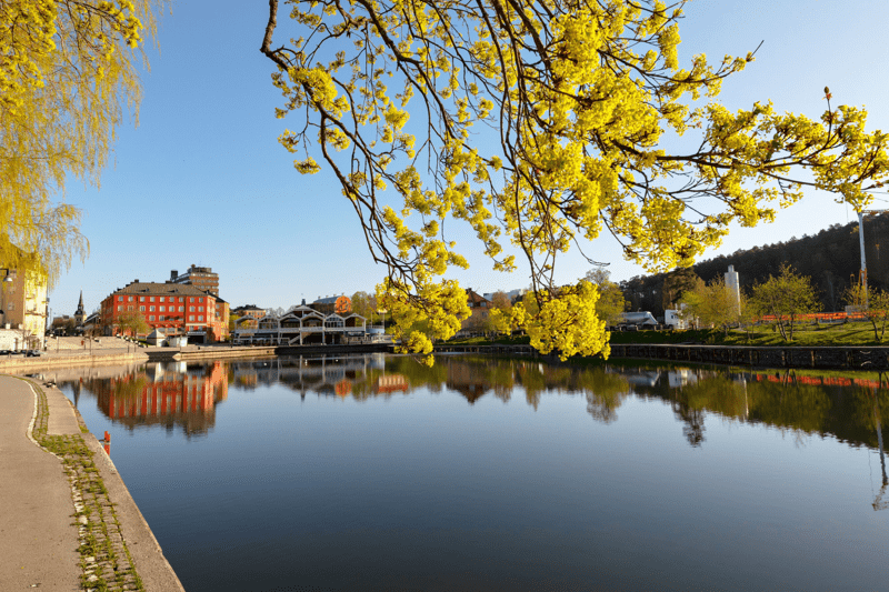 Senior ERP Business Architect O2C/O2D – Södertälje image