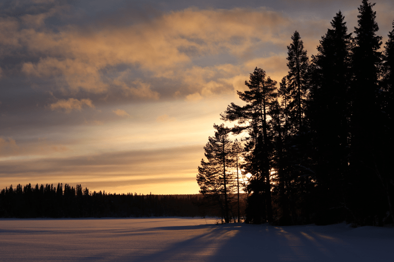 Vaktmästare till Rockesholm HVB image