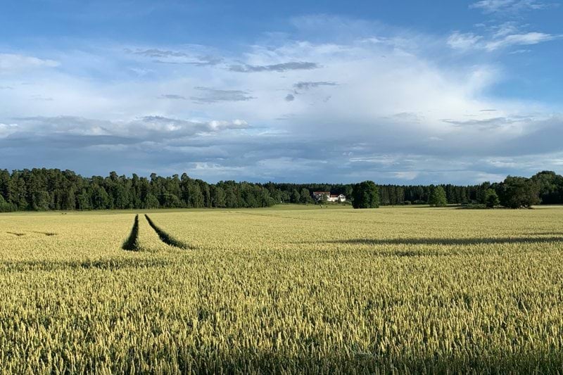 Farmaceut  Västmanland image