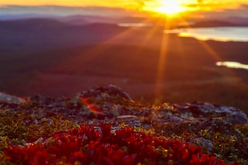 Spontanansökan, bli vikarie hos Bemannia! image