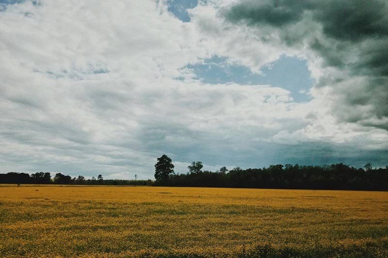 Mättekniker image
