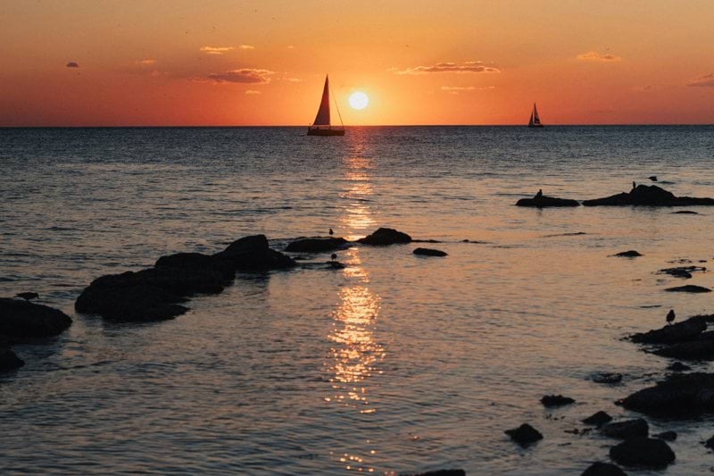 Flera personliga assistenter sökes till man i Orsa image