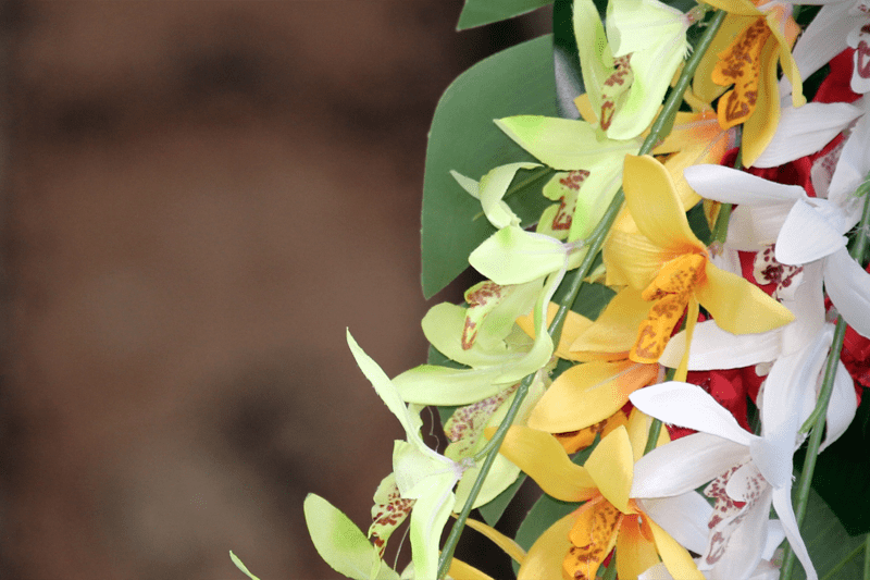 Employment Navigator image