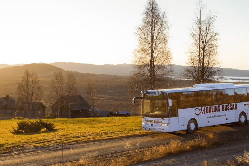 Teamledare till Mohlins Bussar image