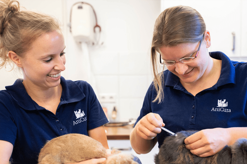 Vacature ZZP/ Flexibel inzetbare Paraveterinair image