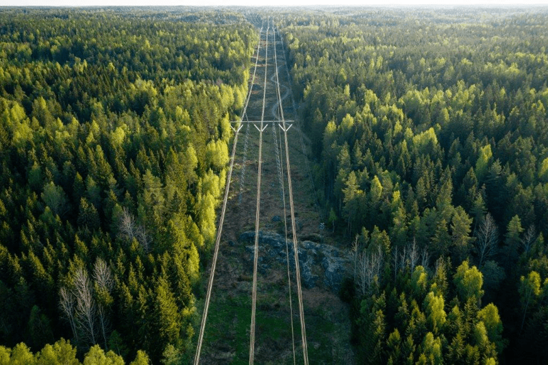 Kesätyö: Metsäalasta kiinnostunut harjoittelija image