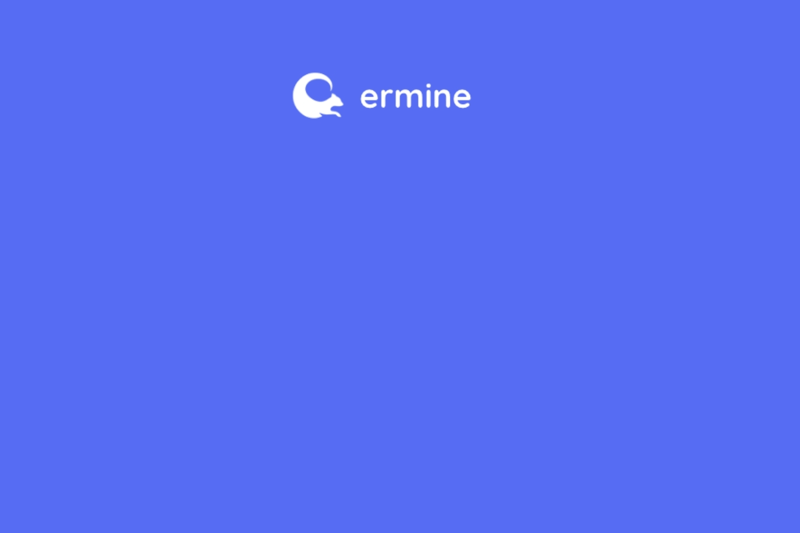 CEO - Ermine image