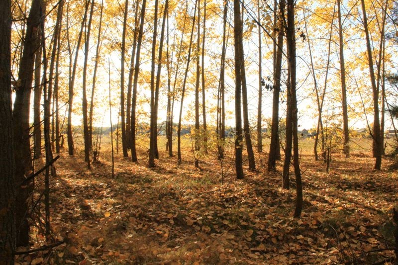 Engagerad Hydrogeolog till Envigo image