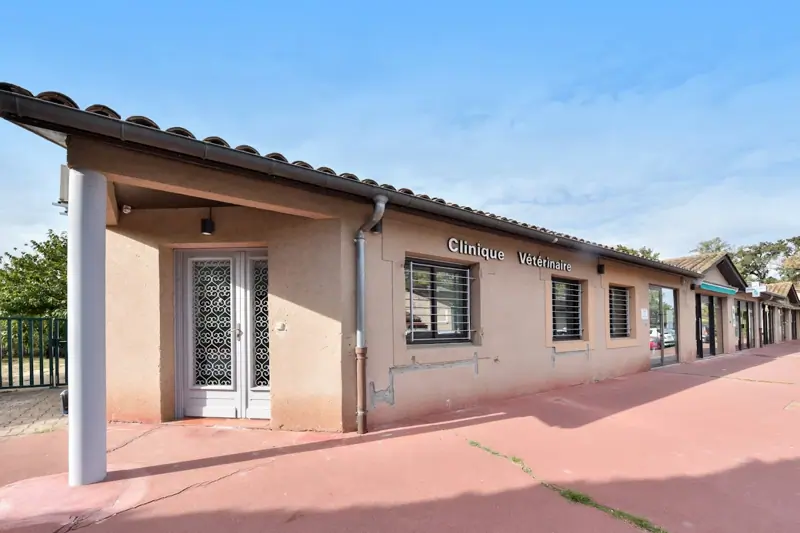 LA CROIX FALGARDE - VETERINAIRE DIRECTEUR DE CLINIQUE - CDI (H/F) image