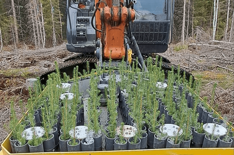 Grävmaskinist för Maskinplantering – Hudiksvalls Skogsentreprenad image