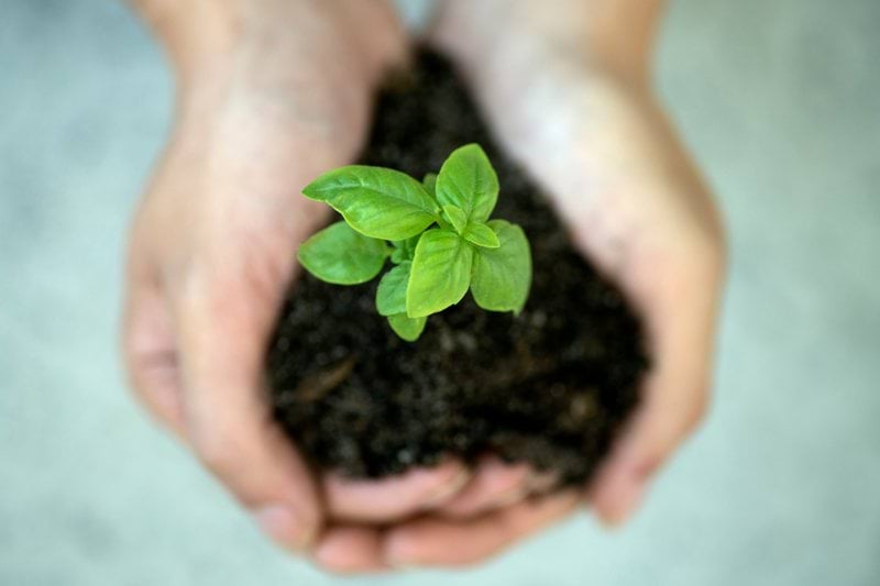 Responsable de Sostenibilidad ESG | Reporte al CEO | Grupo Internacional de Servicios Madrid image