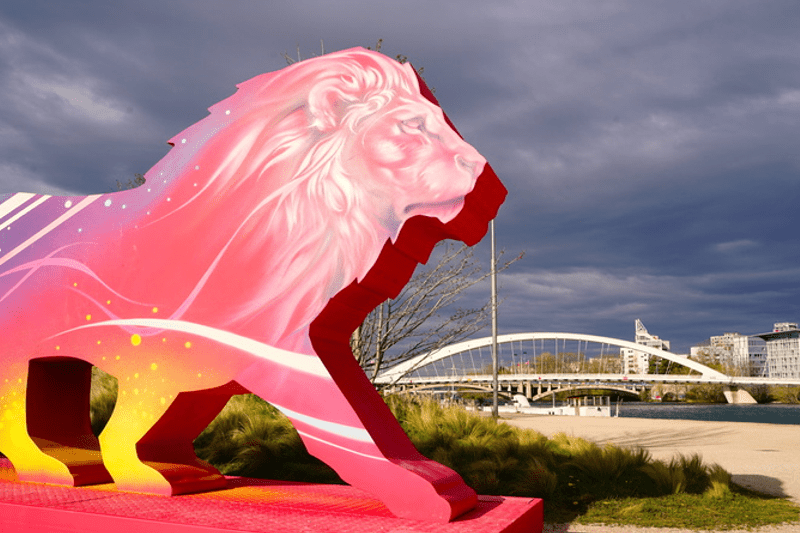 Directeur.trice du programme de marketing territorial ONLYLYON – F/H image