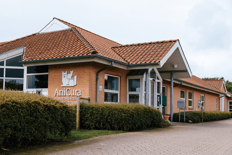 Dyrlæge til AniCura Familiedyrlægerne Hobro image