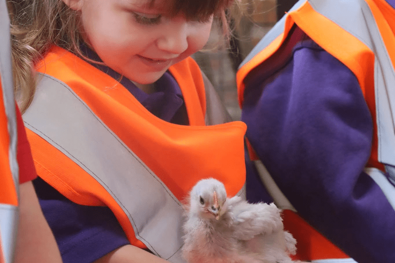 Apprentice Nursery Practitioner image