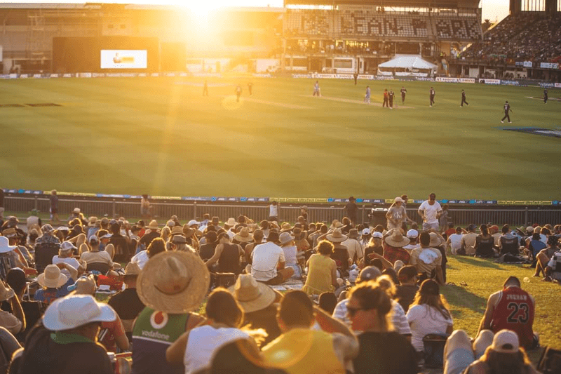 Turf Curator Leading Hand image