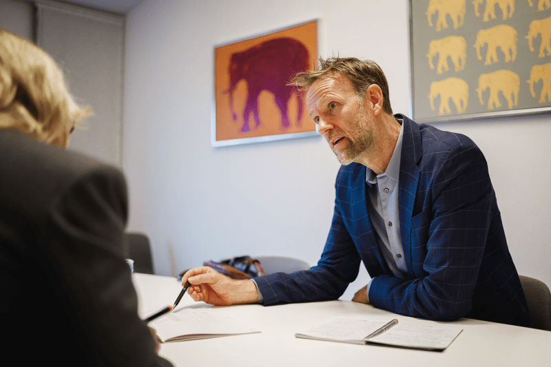 Chefkonsulent til Konsulenthuset ballisager image