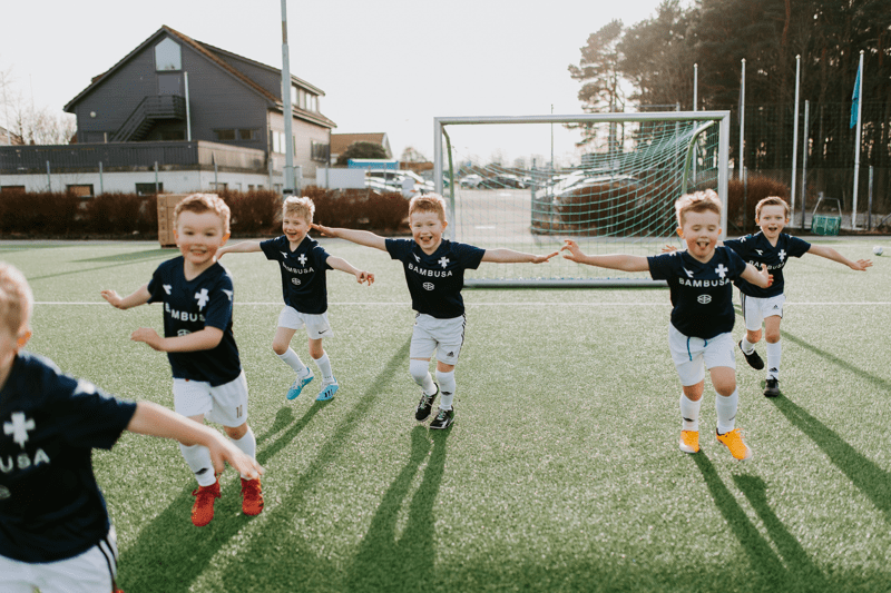 B2B-sælger til Bambusa DK image