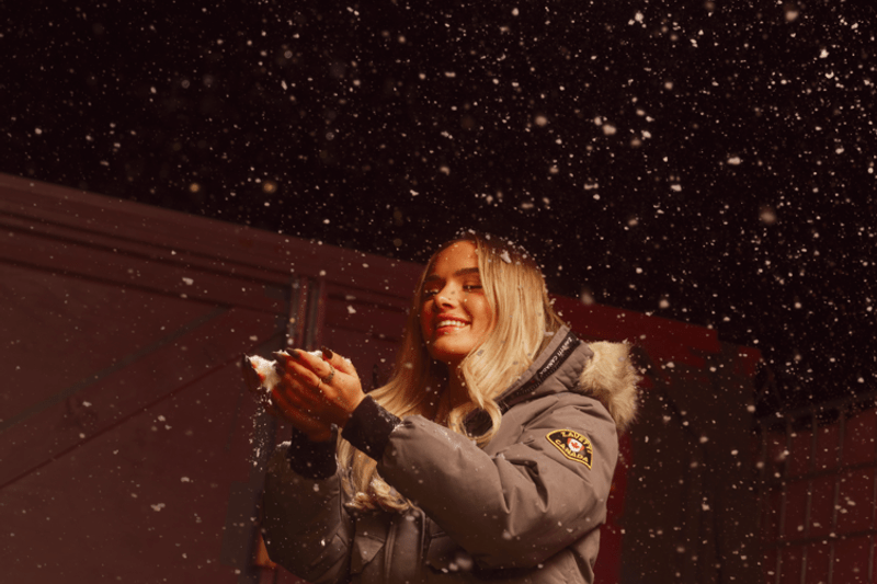 Seasonal Sales Assistant image