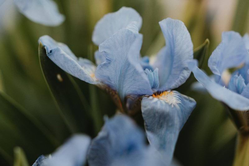 Part-Time Home Care Supervisor – Wexford image