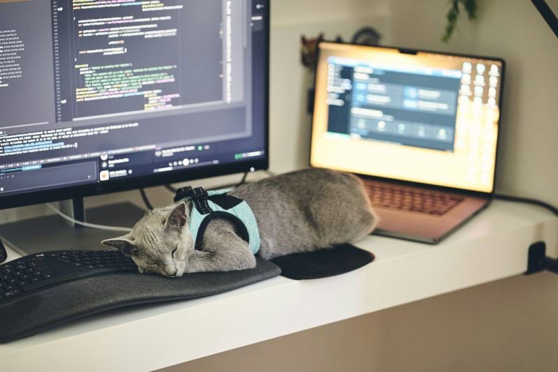 Scala Developer - Amsterdam image