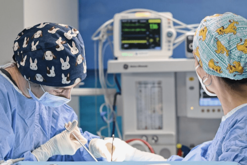 Veterinario/a Generalista Hospital Costa Azahar, Castellón, VetPartners image