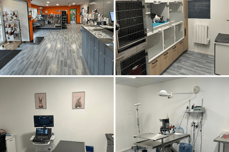 BLAINVILLE-SUR-L'EAU - ARCHE 54 DIRECTEUR DE CLINIQUE CDI (H/F) image