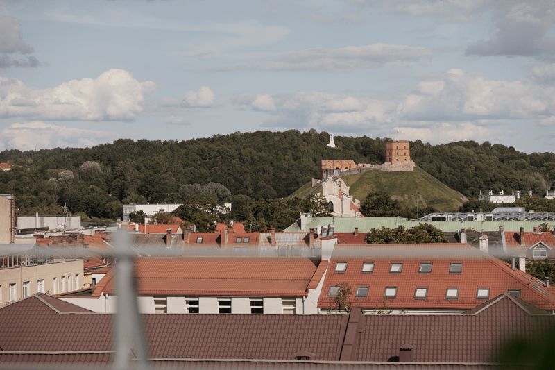 Teisininkė (-as) image