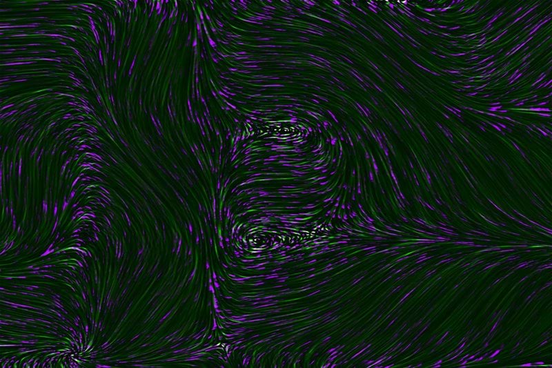 OpenAi Service Owner image