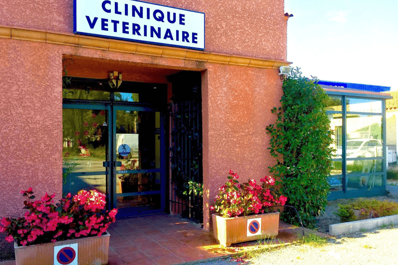 Pertuis - Saint Martin - Vétérinaire Généraliste - CDI (H/F) image