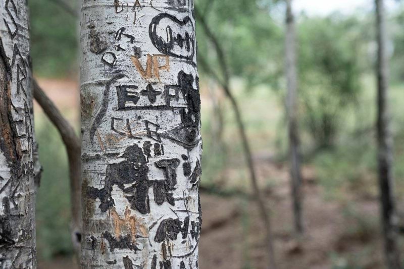 Lääkäri - Riihimäen vankilan poliklinikka image