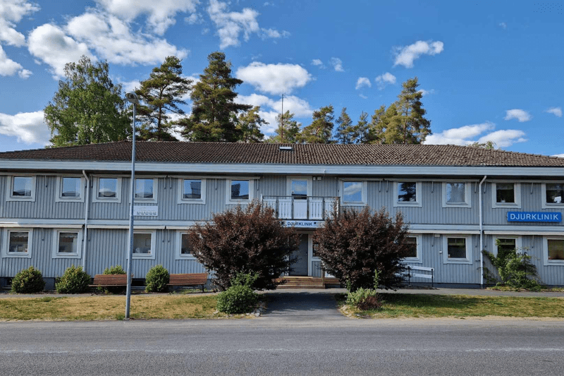 Nyexaminerad veterinär till Vetlanda Djurklinik image
