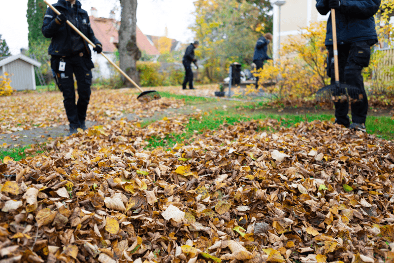 Studentmedarbetare till Uppsalahems Hållbarhetsavdelning image