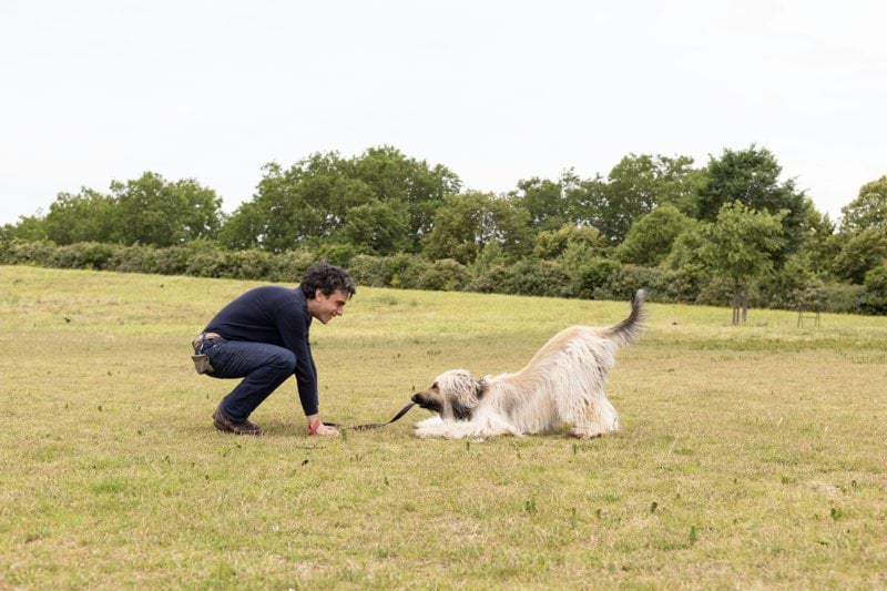 Product Sales Specialist - Pet Health - Remote image