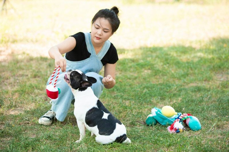 Dog Trainer - Female image