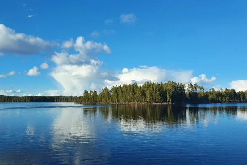 Farmaceut  Västernorrland image
