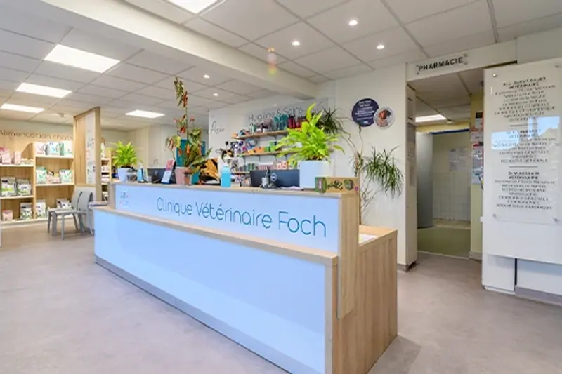 MEAUX - FOCH - ASV - CDD 3 MOIS - H/F image