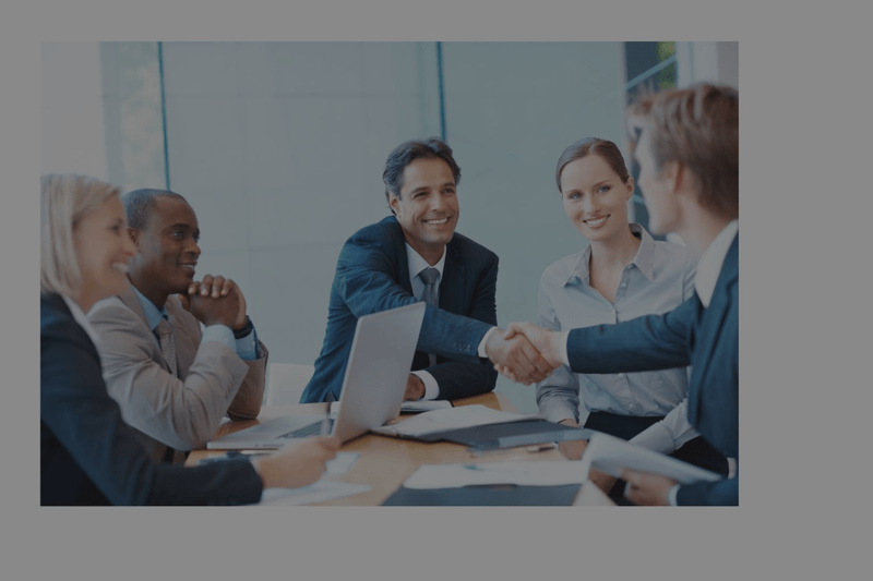 Vice President of Sales image