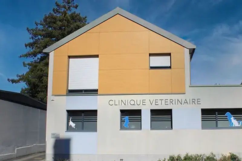 BRUZ - ILLE ET VET - VETERINAIRE - CDI (F/H) image