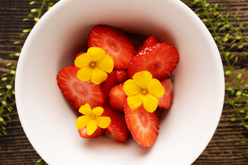 Vuoromestari Särkänlinnaan image